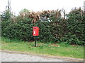 TF9800 : Elizabeth II postbox on Norwich Road, Scoulton by JThomas