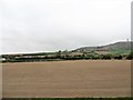 Arable land between the A21 and Scrabo Hill