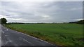 Farmland at Barn House Farm