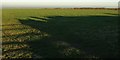 Field near trig point, Tresparrett Down