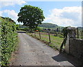 Glanusk Farm access road, Llanfair Kilgeddin, Monmouthshire