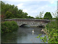 Bridge over The Frome, Westleaze, North Dorchester