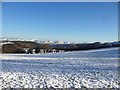 Snowy field, south of Cyffylliog