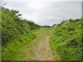 Durlston, footpath