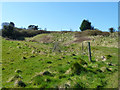 Old stone quarry near Langton Matravers