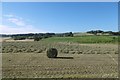 A round bale, Barnellan