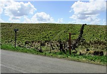 NO2305 : Path to Holl Reservoir, Lomond Hills by Bill Kasman