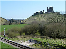 SY9582 : Corfe Castle ruins by Robin Webster