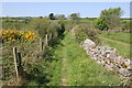 The Anglesey Coastal Path at Malltraeth