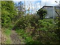 Path beside the Kilmalid works