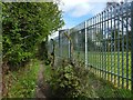 Path beside the Kilmalid works