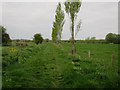 Footpath from Sharpham Drove