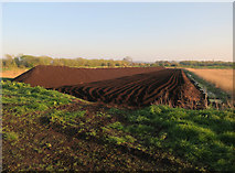 ST4638 : Peat digging by Sharpham Lane by Hugh Venables