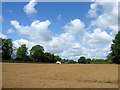 Long Field/Sandy Lane Field