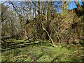 The steep eastern side of Garrawy Glen