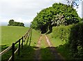 Track, above Higher Doverhay