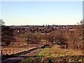 Ladybird Lane and Sedlescombe Street village