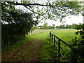 Path to Little Foxley