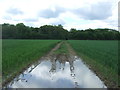 Waterlogged and muddy bridleway