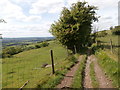 ST7068 : Bridleway leading towards North Stoke by HelenK