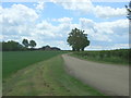 Track (footpath) to Great Brockholds