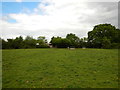 Field next to Long Lane Farm