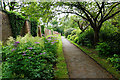 Walled garden in Flixton Park