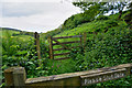 SS9540 : West Somerset : Footpath by Lewis Clarke
