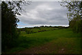 SS9540 : West Somerset : Grassy Field by Lewis Clarke