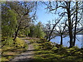 NN1885 : The Great Glen Way along the southern end of Loch Lochy by Tim Heaton
