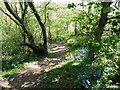 The Pembrokeshire Coast Path near Amroth