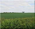 TL3869 : Field by Longstanton road by Hugh Venables