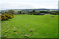 Path down to Riding Lea