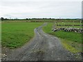 Access track to Llystyn Canol