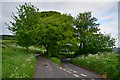 West Somerset : Country Lane