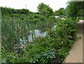 English Garden, Olympic Park, Stratford, East London