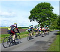 Cyclists on East Ferry Road