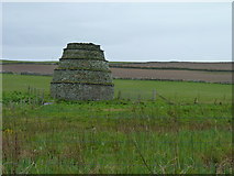 HY4220 : Doocot at Hall of Rendall by James Allan