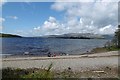 NS4191 : Beach, Loch Lomond by Richard Webb