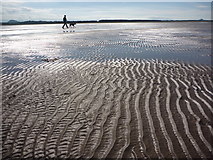 NT6678 : Coastal East Lothian : Walkin' The Dog by Richard West