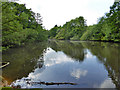 Pond near Frith Farm