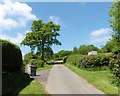 Lane to Odle Farm