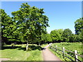 Path in Hampden Park