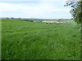 A grassy field, Magheracreggan