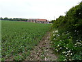 Ongoing construction of Preston Barns, Bekesbourne Lane