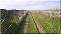 Farm road, Auchmithie