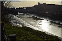 TA1029 : River Hull by N Chadwick