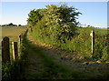 ST4756 : Bridleway over the Mendips by Neil Owen