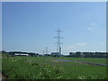 New pylons near Inch Farm