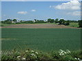 Fields near Inch Farm